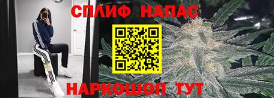 трава Лесосибирск