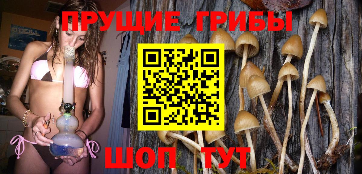 Галлюциногенные грибы мицелий Добрянка