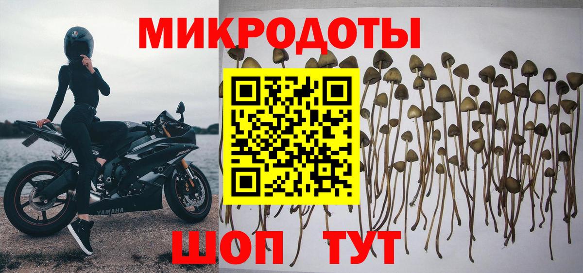 Добрянка  Псилоцибиновые грибы Psilocybine cubensis  Псилоцибиновые грибы ЛСД  Вход с VPN 